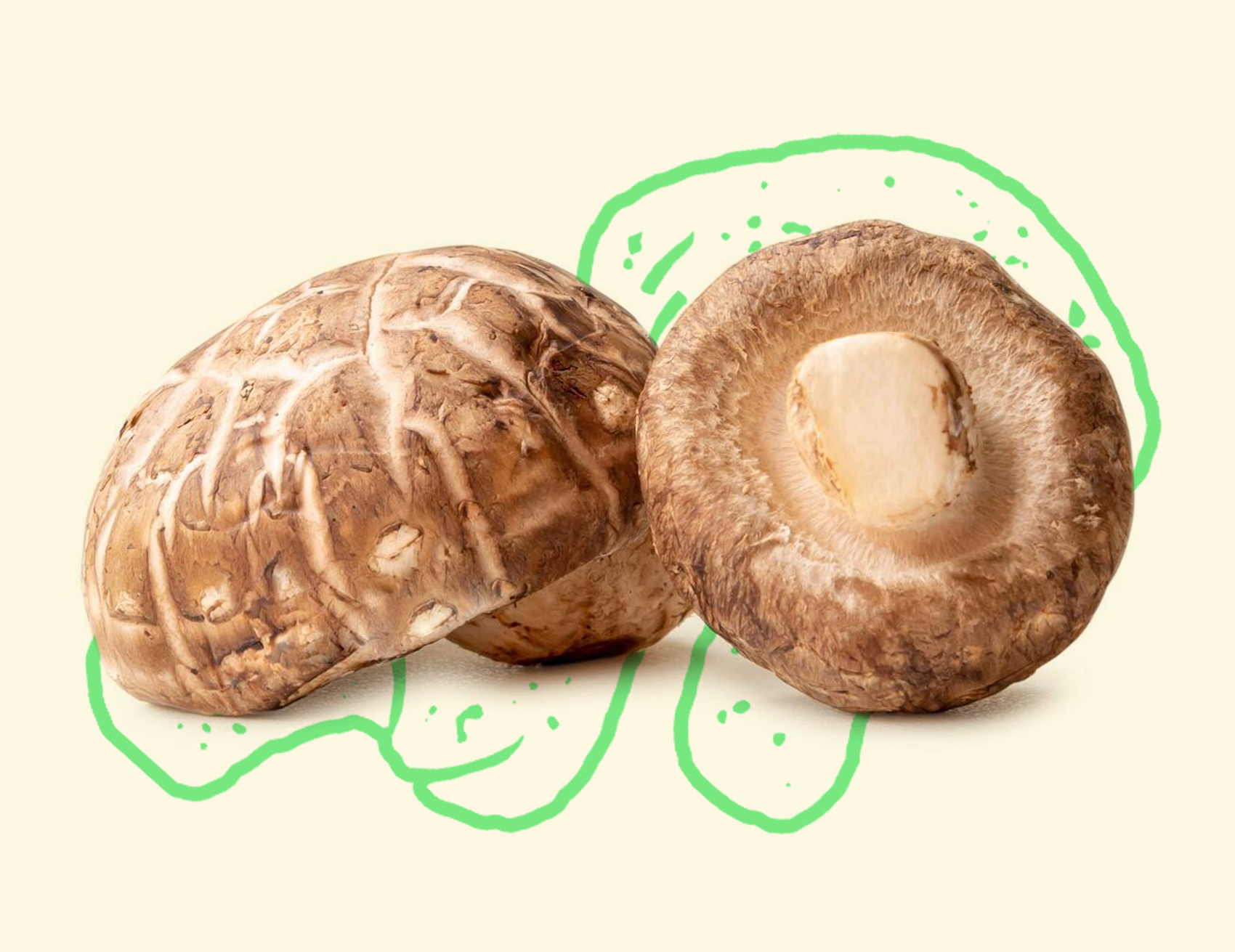 Shiitake