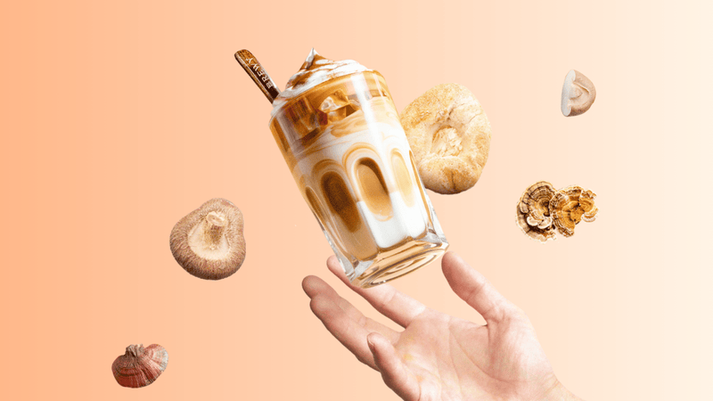 Mushroom Coffee 101: Understanding the Basics and Benefits