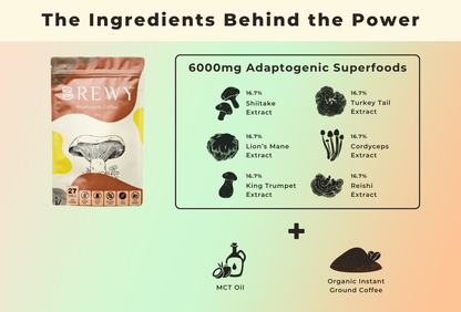 Brewy’s Daily Trio | Bundle