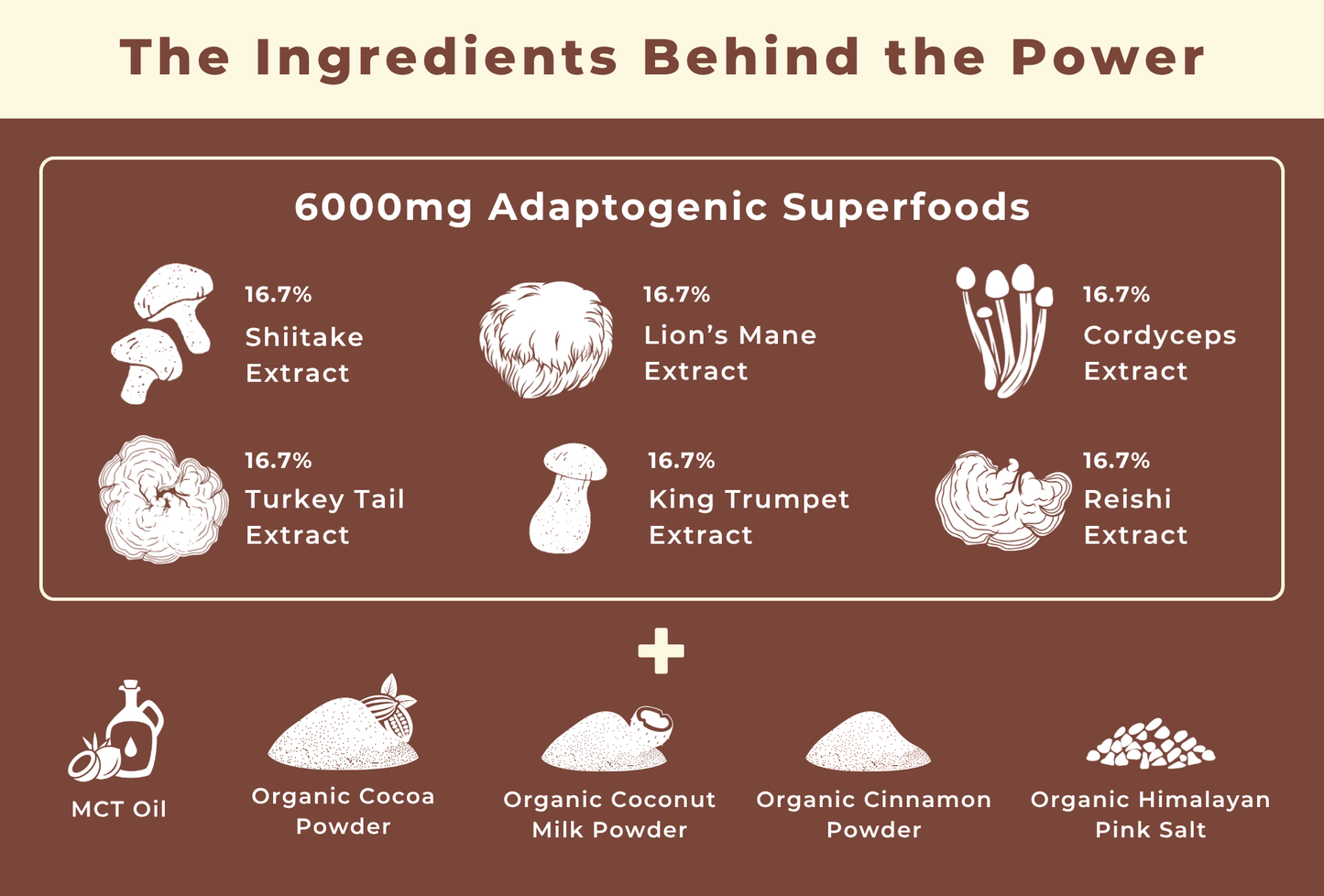 Brewy Mushroom Cacao | 120g
