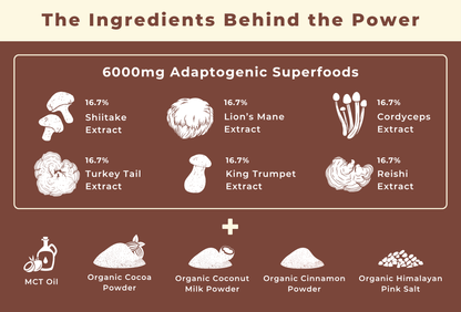 Brewy Mushroom Cacao | 120g