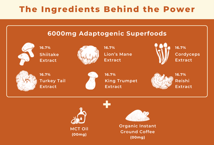 Brewy Mushroom Coffee | 120g