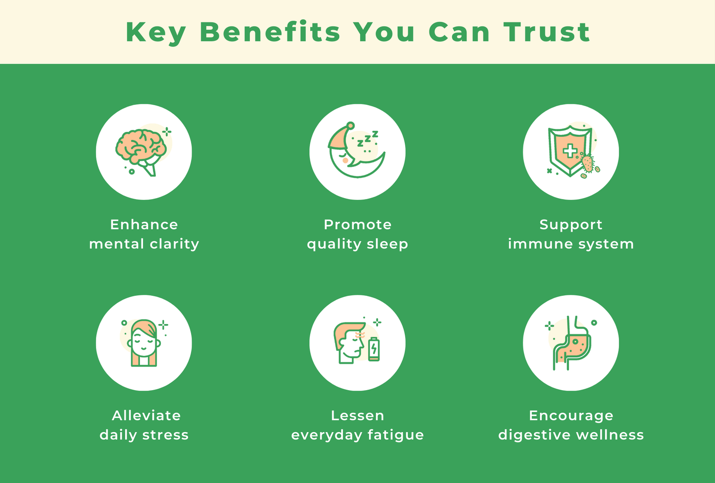 Brewy Mushroom Matcha | 120g