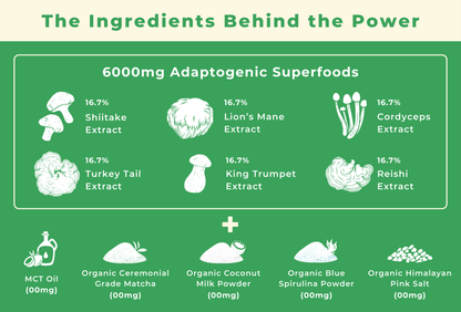 Brewy Mushroom Matcha | 120g